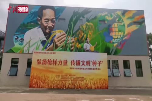 绘画爱好者绘巨型画像纪念袁隆平诞辰91周年